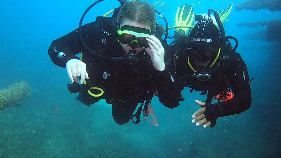 Discover Scuba Diving Program for Beginners - Highlights of the Activity