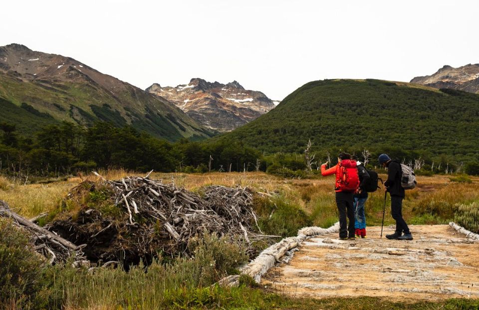 Discover Tierra Del Fuego National Park - Reserve & Pay Later Benefits
