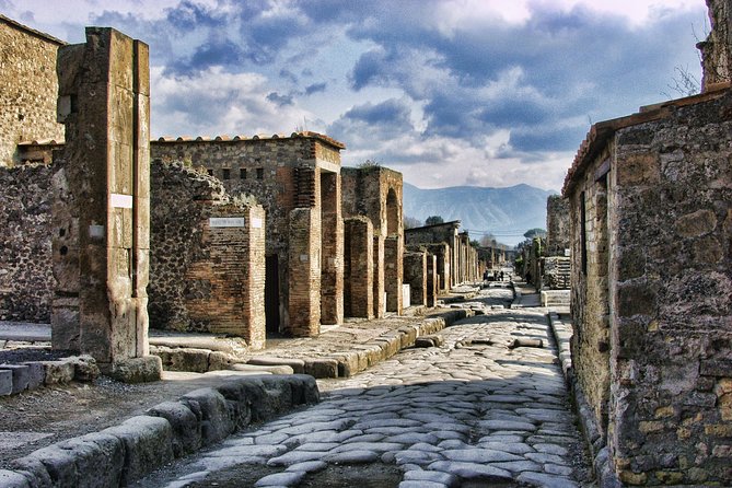 DISCOVERING POMPEII and HERCULANEUM - VIP Tour With Lunch - Customer Reviews