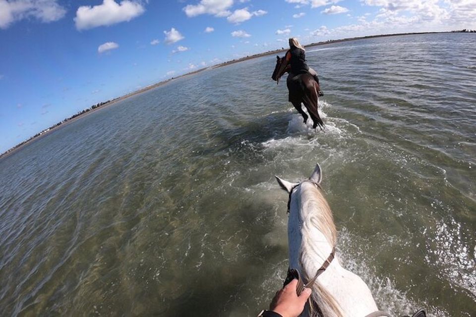 Djerba: 2-Hour Lagoon Horse Riding Experience - Flexible Booking and Cancellation Options