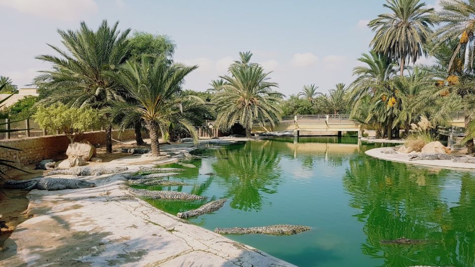 Djerba: Explore Park and Crocodile Farm With Pickup - Last Words