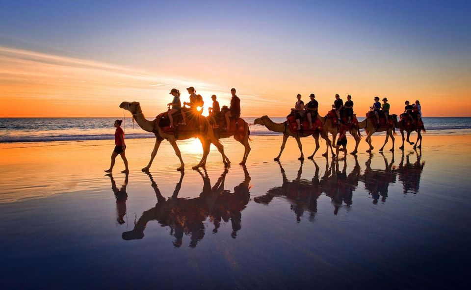 Djerba: Lagoon Camel Ride Experience - Last Words