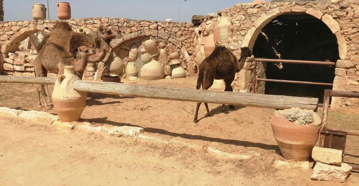Djerba: Pottery Village and Heritage Museum Tour - Helpful Information