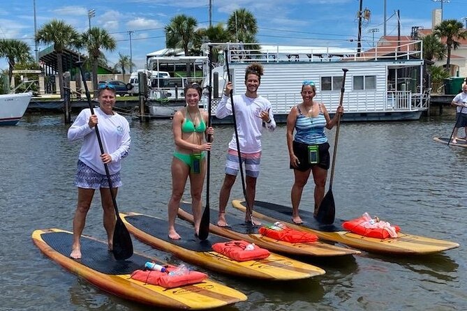 Dolphin and Manatee Stand Up Paddleboard Tour in Daytona Beach - Booking Information
