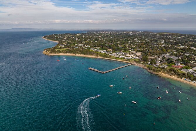 Dolphin and Seal Swim Reef Snorkel Boat Tour Mornington Peninsula - Reviews and Ratings