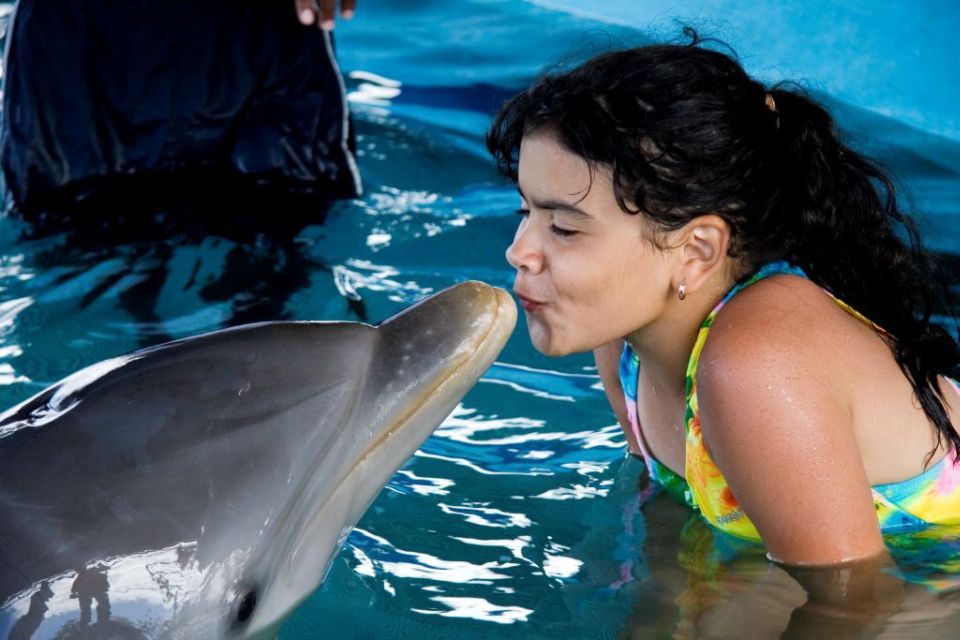 Dolphin Encounter at Ocean World, Puerto Plata - Customer Feedback