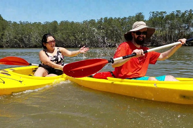 Dolphin & Manatee Kayaking Tour in Orlando Area - Common questions