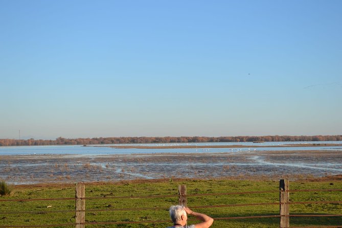 Donana National Park and El Rocío: 4x4 Guided Tour From Seville - Travel Experience Itinerary