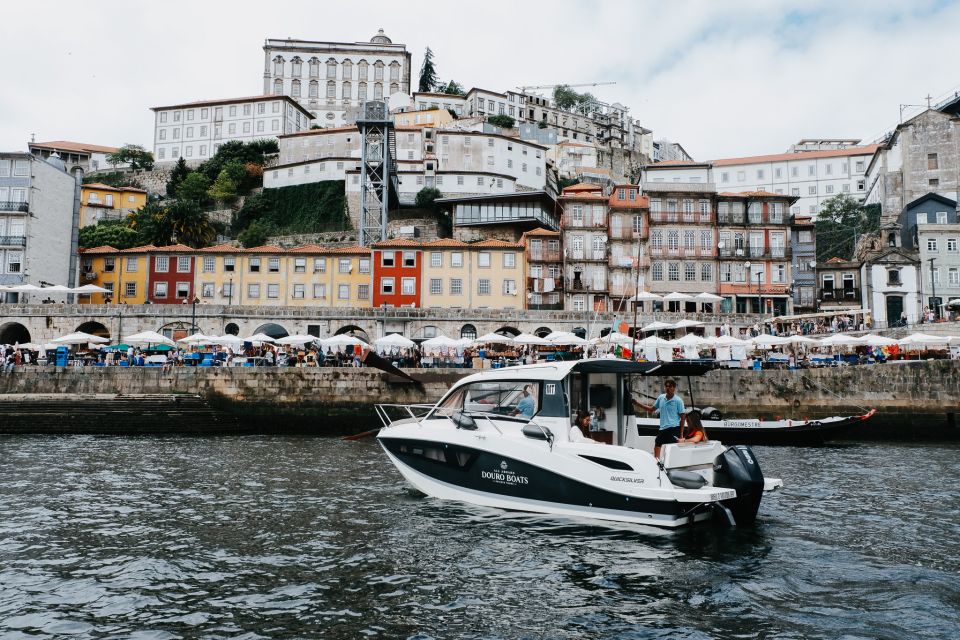 Douro Boat River Cruise 2h - Highlights & Recommendations