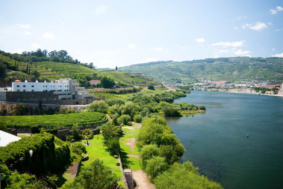 Douro Valley: Full-Day Private Wine Tour With Lunch - Customer Reviews