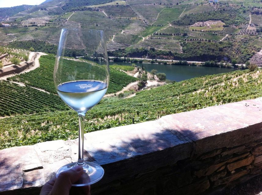Douro Valley Private Wine Experience - Booking Information