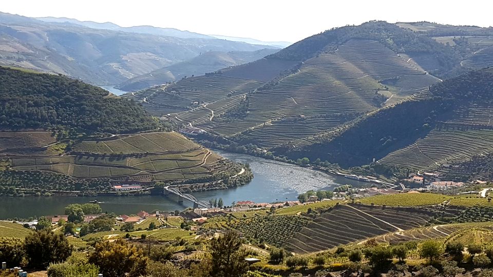 Douro Valley Tour Wines and Breathtaking Views - Detailed Itinerary Overview