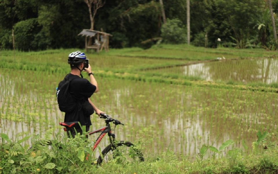 Downhill Cycling Tour Ubud Through Jungle and Rice Terrace - Visitor Experience