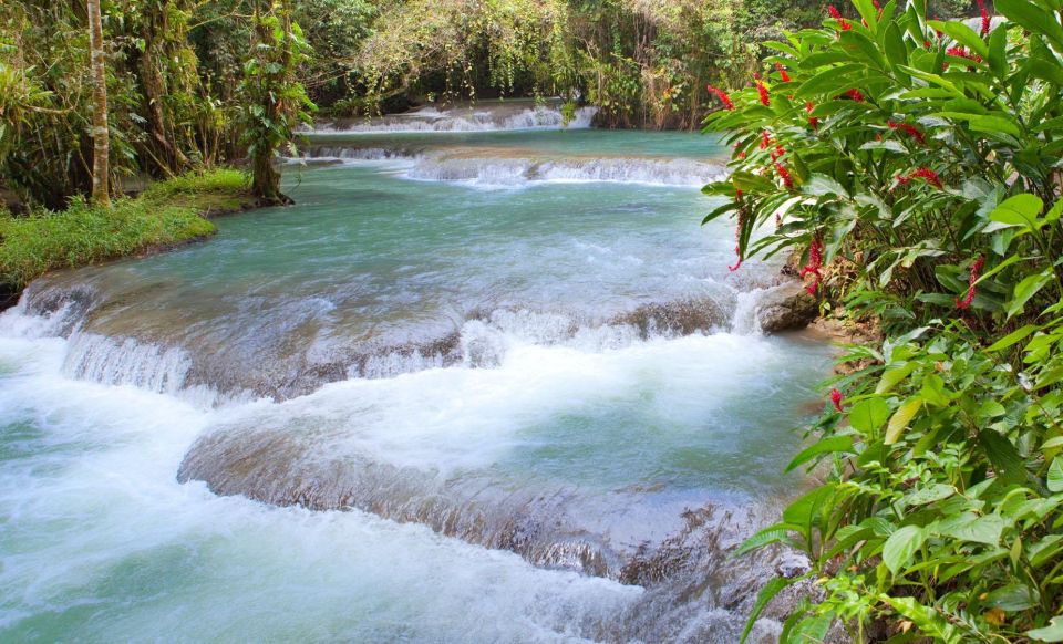 Dunn's River Falls and Luminous Lagoon With Transportation - Free Cancellation Policy