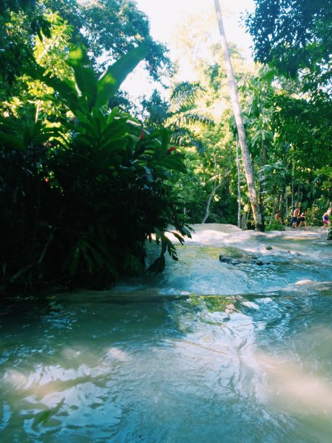 Dunn's River Falls Climb and Private Transportation - Additional Info