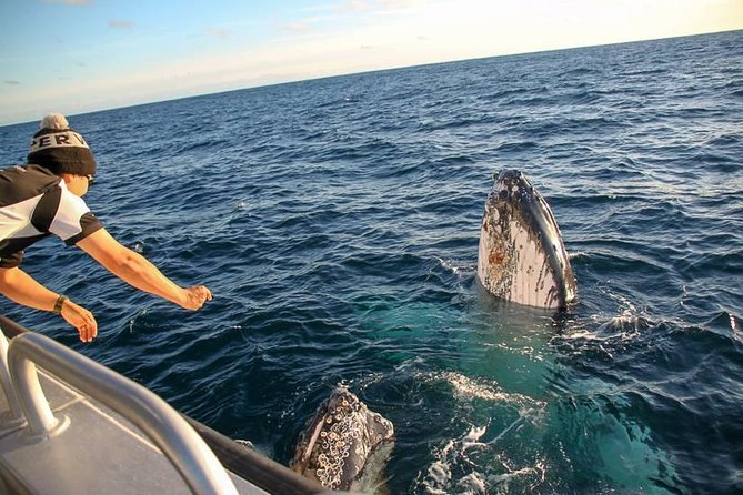 Dunsborough Whale Watching Eco Tour - Important Notes