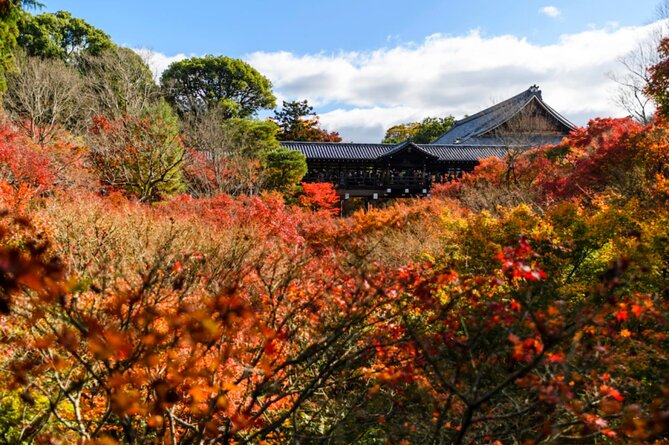 Early Bird E-Biking Through East Kyoto - E-Bike Tour Experience