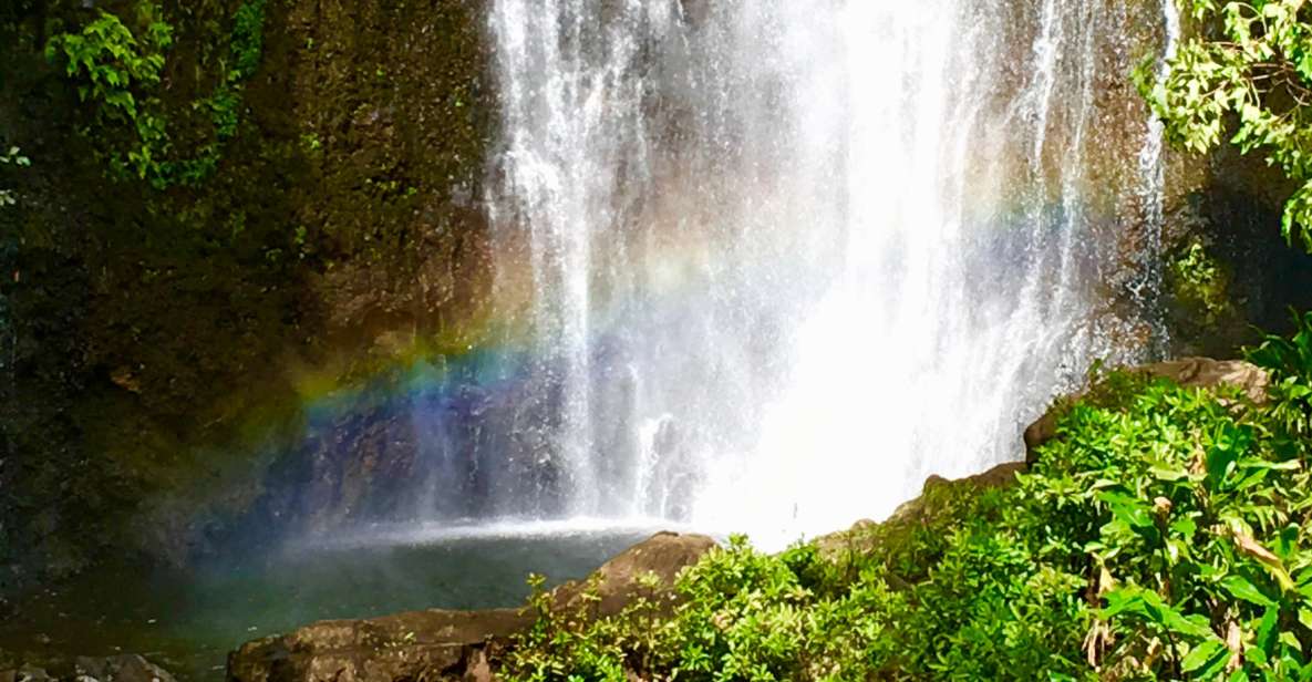 East Maui: Private Rainforest or Road to Hana Loop Tour - Tour Highlights