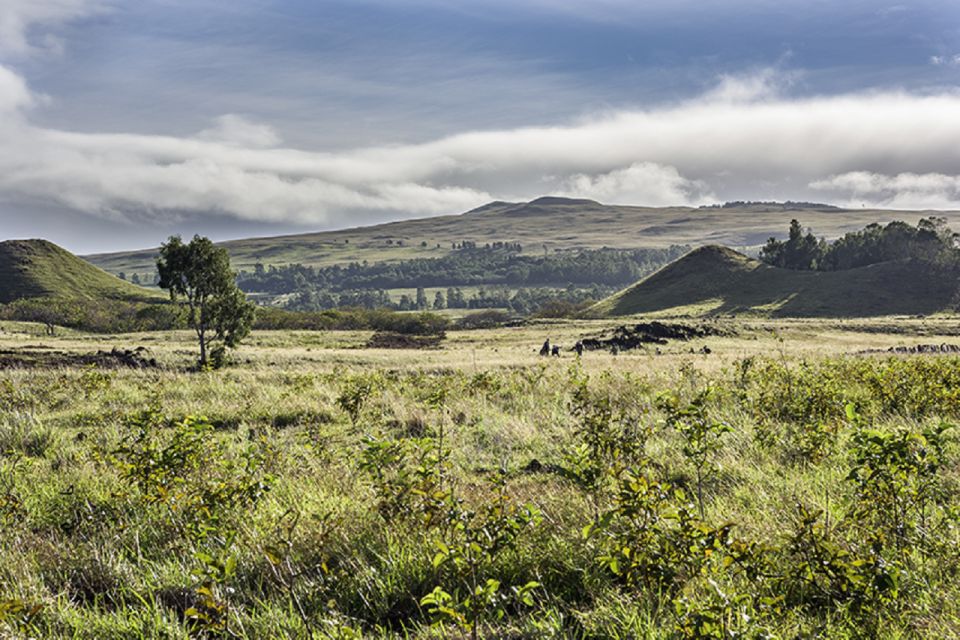 Easter Island: Terevaka Summit Hike Private Half-Day Trip - Experience Description