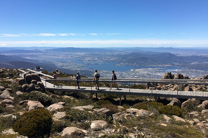 Easy Bike Tour - Mt Wellington Summit Descent & Rainforest Ride - Customer Experiences and Recommendations