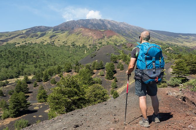 Easy North Etna Hike - Wildlife and Flora Along the Route