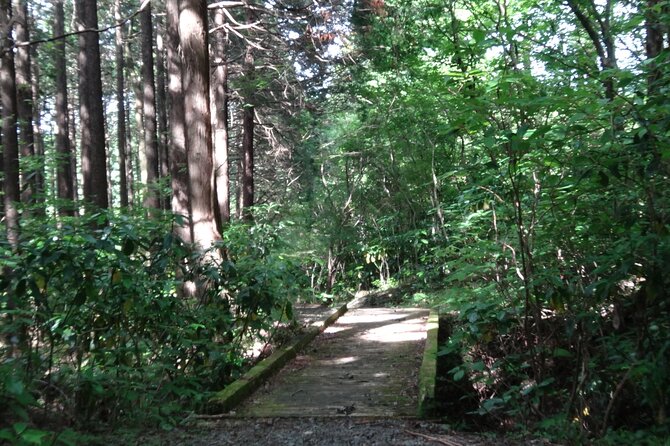 Easygoing Nature Walk in Hakone Tour - Last Words