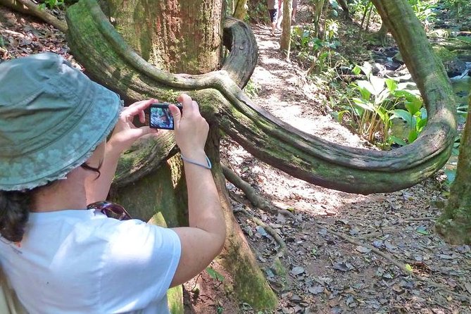 Ecological Walk in Sao Paulo - Reviews Overview