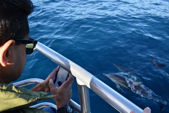 Educational Whale Watching Tour From Augusta or Perth - What To Expect During the Tour