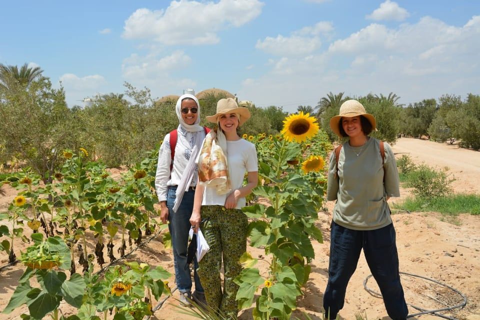 Egypt Countryside Day Tour - Meals and Transportation