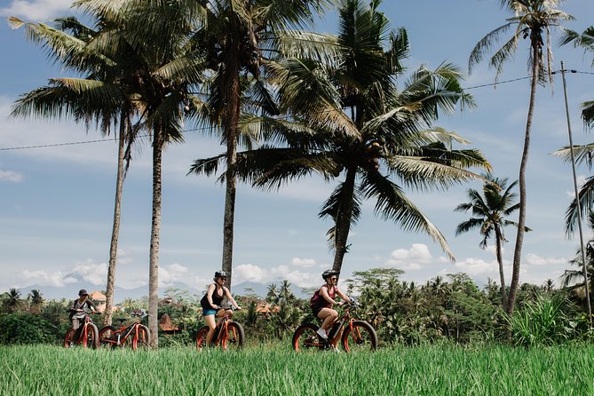 Electric Bike Tour in Ubud - Booking and Reservation