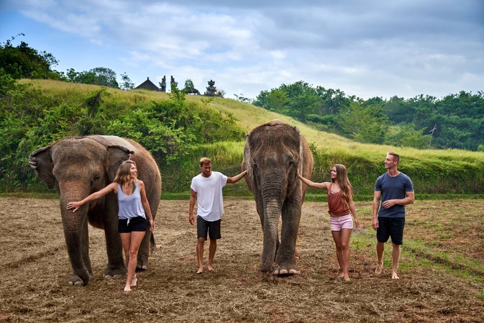 Elephant Care Experience With Mud Bath at Bali Zoo - Ethical Considerations