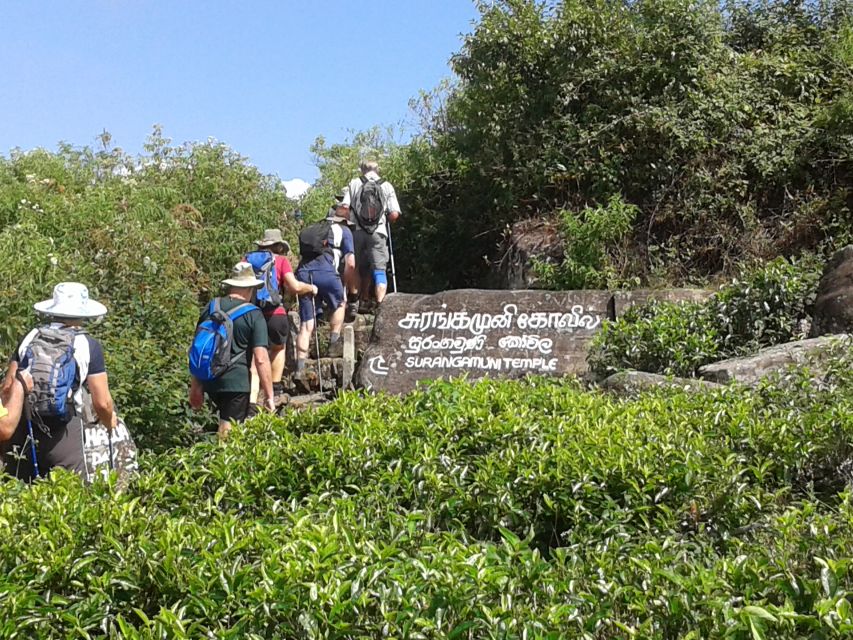 Ella- 3-Days Trekking in Tea Plantation Forest & Waterfalls - Live Tour Guide Information