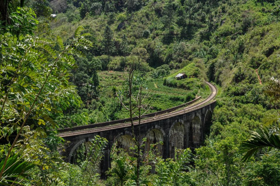 Ella: 9 Arch Bridge, Ella Rock, & Little Adam'S Peak Tour - Location Information