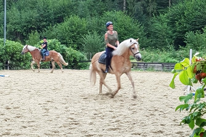 Equestrian Adventure Day for Big and Small Horse Lovers - Horse Care Tips