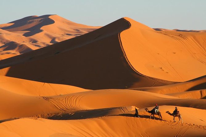 Erg Chebbi Dunes Overnight With Berber Tent, Camel Ride, Meals (Mar ) - Traveler Insights