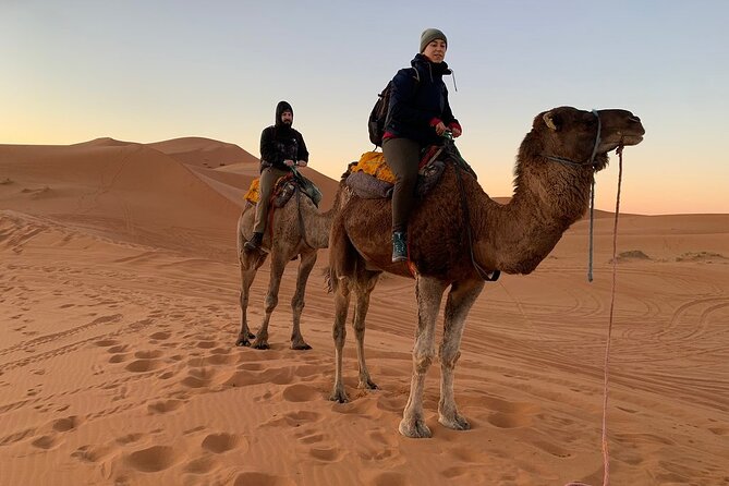 Erg Chebbi Overnight Small-Group Camel Adventure From Fez (Mar ) - Viator Experiences and Information