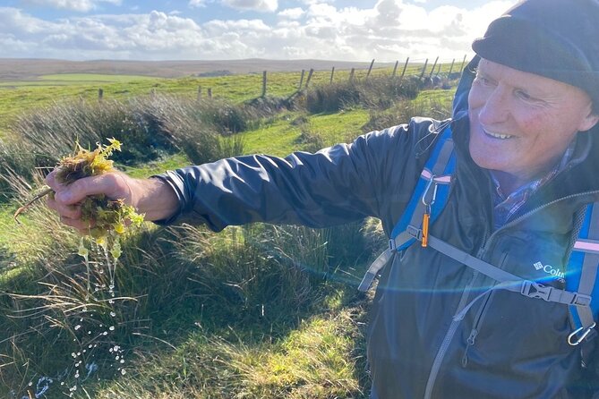 Erris Head Guided Walking Tour (AlchemyTours.ie) - Pricing and Payment Details