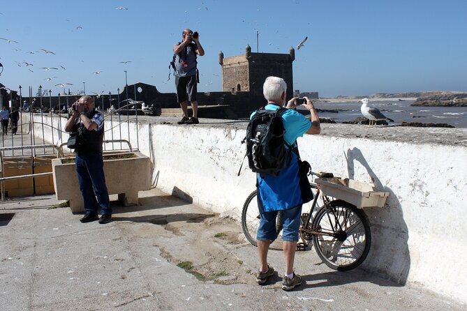 Essaouira Day Trip From Marrakech - Reviews and Contact Information