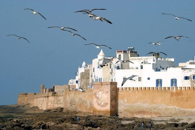 Essaouira Private Full Day Trip From Marrakech - Cancellation Policy and Refunds