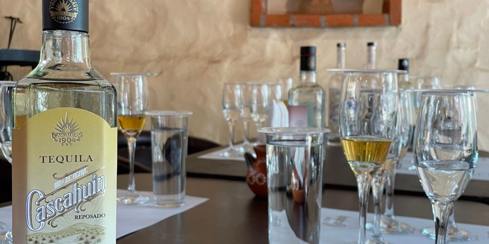 Essence of Tequila - Tequila Production Insights