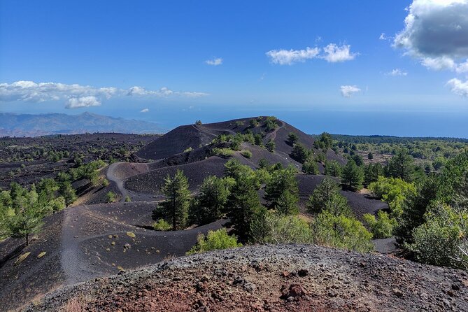 Etna and Alcantara Gorges Excursion - Additional Resources and Support