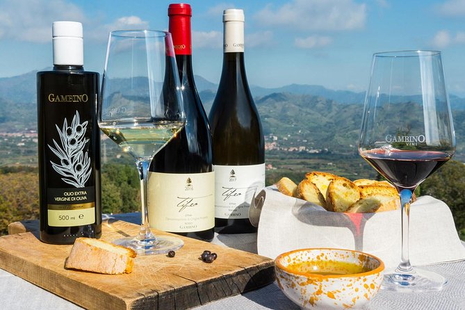Etna Private Tour From Messina Cruise Terminal Lunch at Winery - Pricing and Inclusions