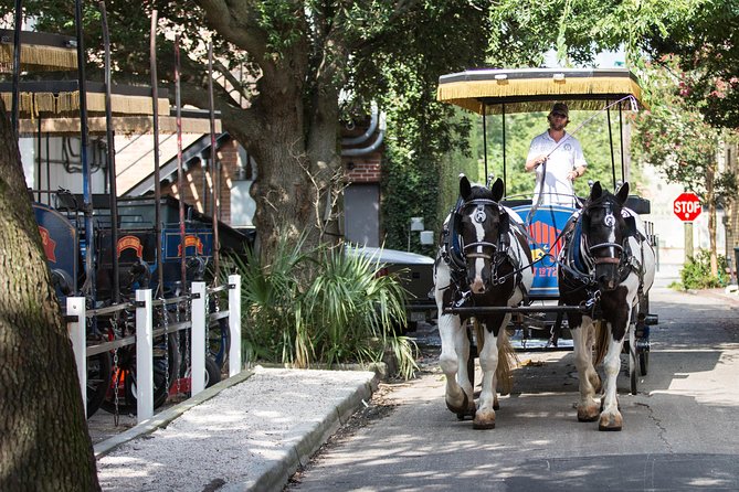 Evening Horse-Drawn Carriage Tour of Downtown Charleston - Parking and Return Details