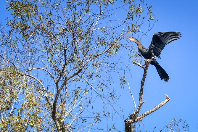 Everglades Guided Kayak Tour - Questions and Support