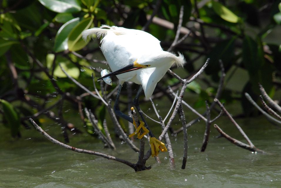 Everglades National Park: Private 2.5-Hour Photo Safari - Booking Details