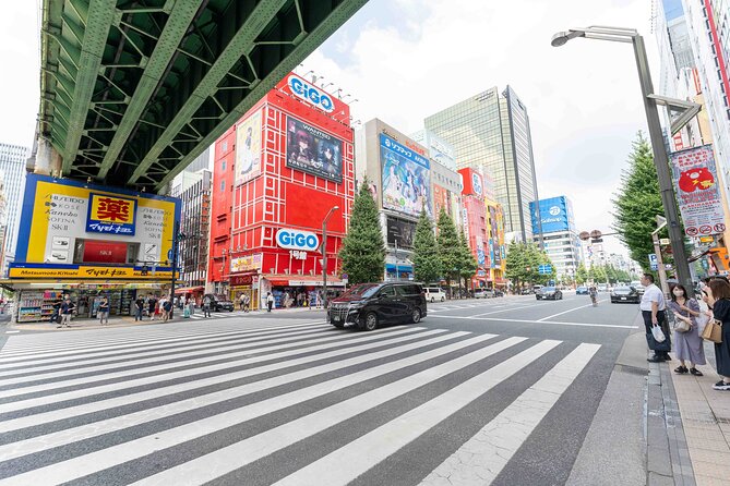 Exclusive Experience: Tailored Anime & Culture Tour in Akihabara - Expert Guided Tours