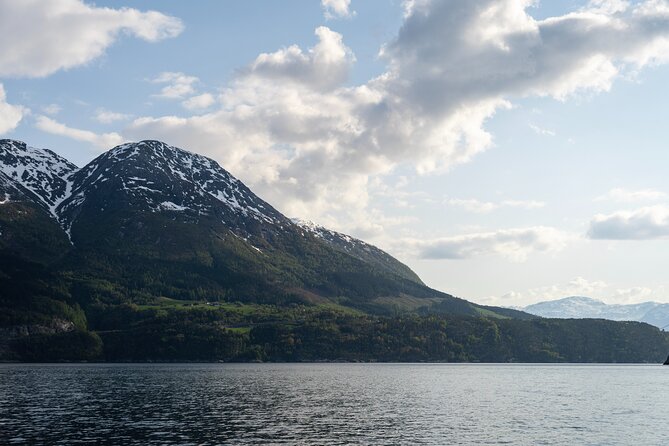 Exclusive & Private Hardangerfjord RIB Safari Tour From Ulvik - Tour Inclusions