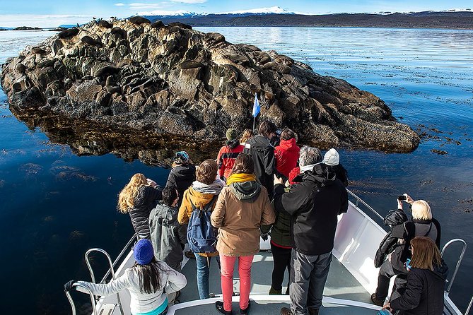 Excursion Through the Beagle Channel in Argentina  - Ushuaia - Viator Booking Information