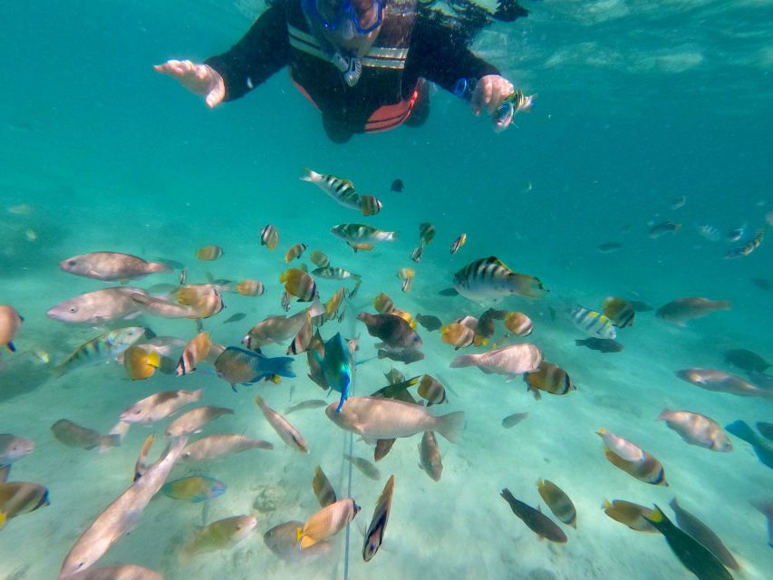 Exotic Escape Island : Pink Beach and Snorkeling Daily Tour - Transportation and Accommodation