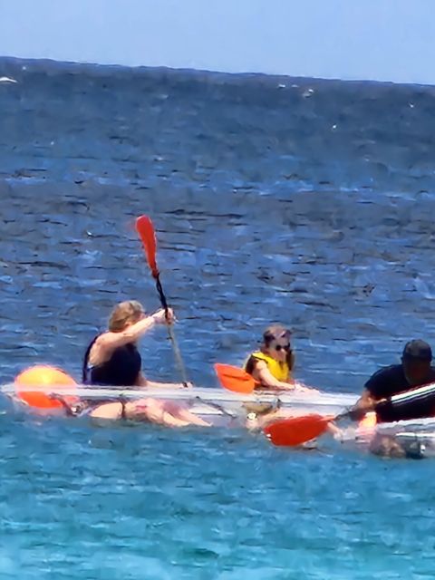 Experience Clear Kayak Shipwreck & Sea Turtle: Guided Tour - Location and Meeting Details